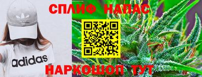 гашик Чапаевск
