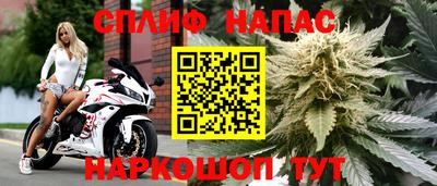 каннабис Шебекино