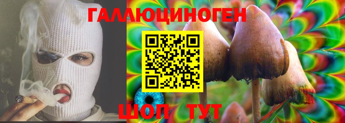 Галлюциногенные грибы GOLDEN TEACHER Алейск