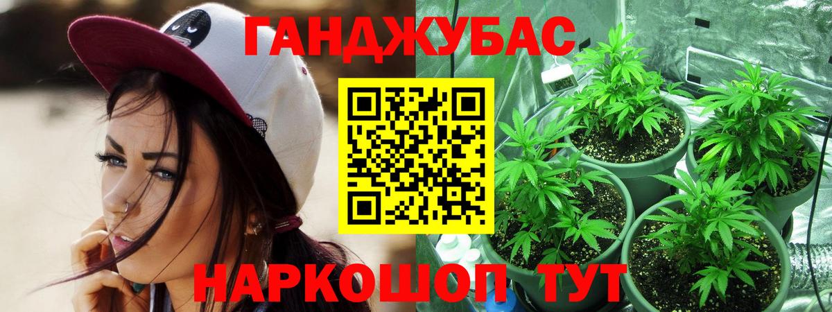 Бошки марихуана планчик  МАРИХУАНА VHQ  Алейск  Конопля план  Вход с VPN  Шишки марихуана Ganja 